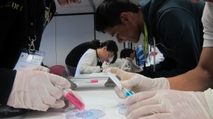 Alumnes realitzant els experiments amb gelatina de colors