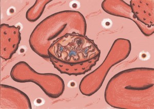 Representación de una nanocápsula reconociendo un glóbulo rojo infectado