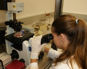 Observant cultius cel·lulars al microscopi