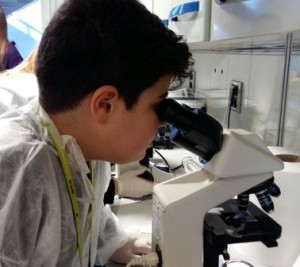 Alumne observant mostres cel·lulars al microscopi