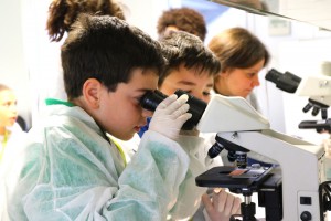 Alumnes observant les sves mostres al microscopi. Autor: IBEC