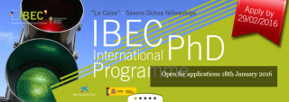 Cursa tu doctorado en el IBEC